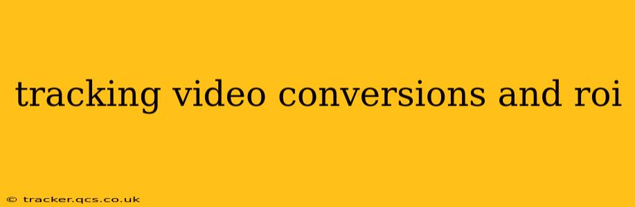 tracking video conversions and roi