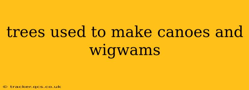 trees used to make canoes and wigwams