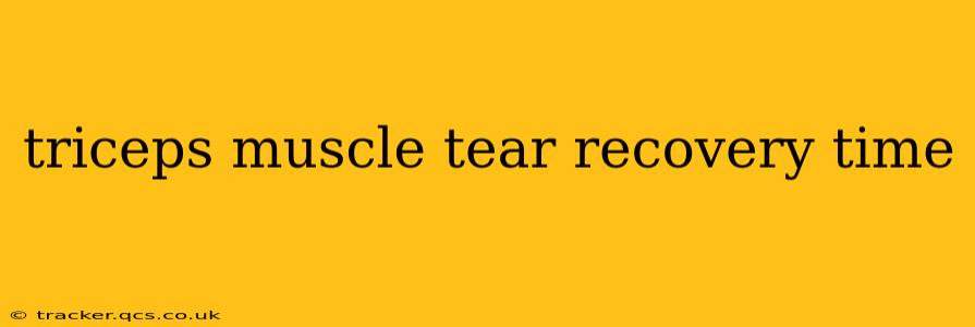 triceps muscle tear recovery time