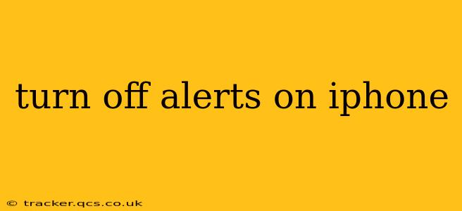turn off alerts on iphone