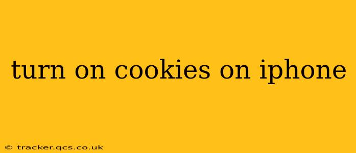 turn on cookies on iphone