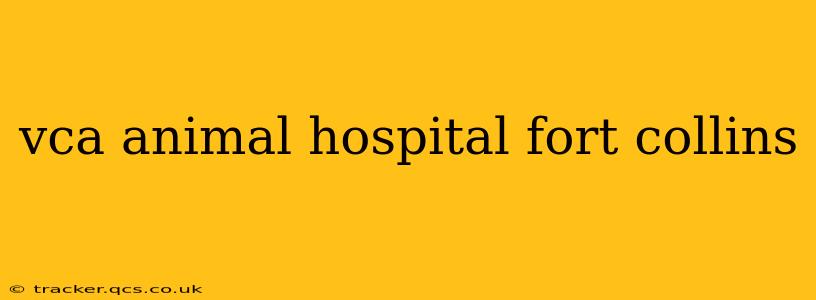 vca animal hospital fort collins