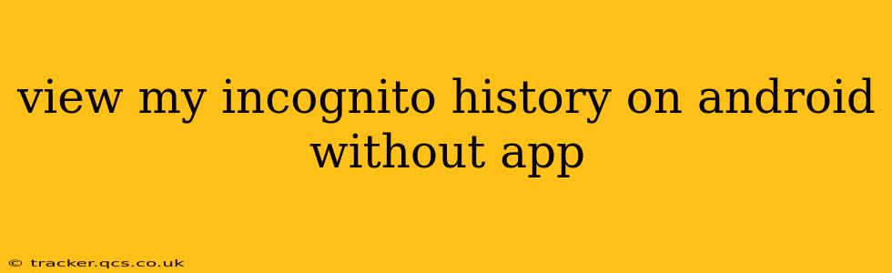view my incognito history on android without app