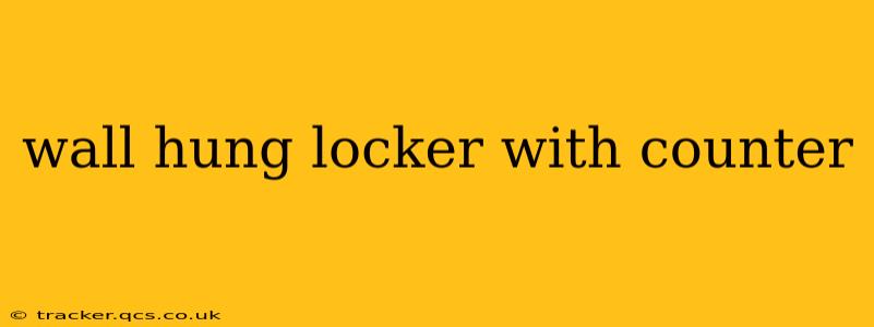 wall hung locker with counter