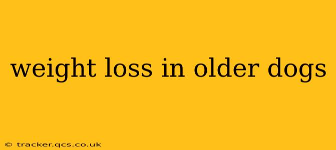 weight loss in older dogs