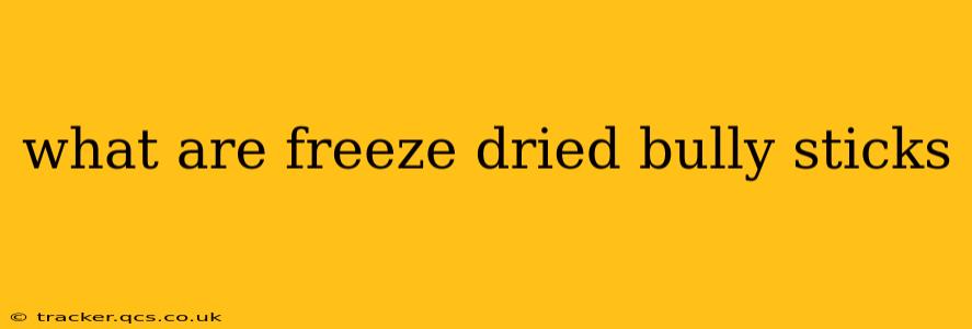 what are freeze dried bully sticks
