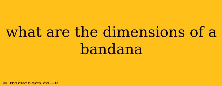 what are the dimensions of a bandana