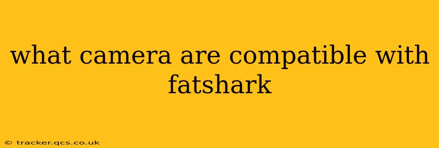 what camera are compatible with fatshark