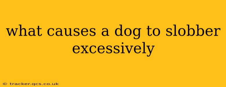 what causes a dog to slobber excessively