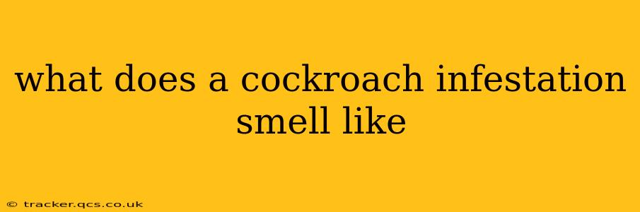what does a cockroach infestation smell like