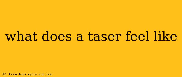 what does a taser feel like