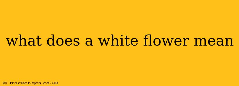 what does a white flower mean