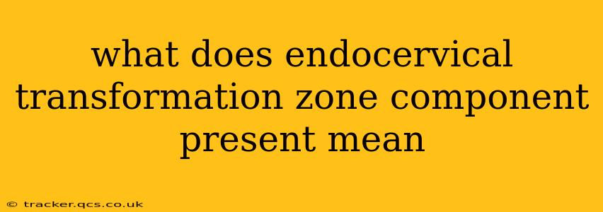what does endocervical transformation zone component present mean