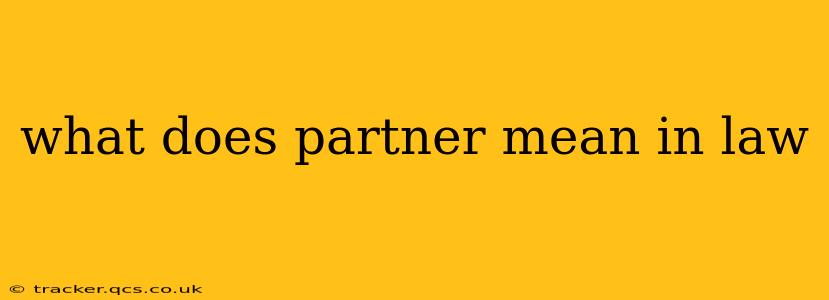 what does partner mean in law