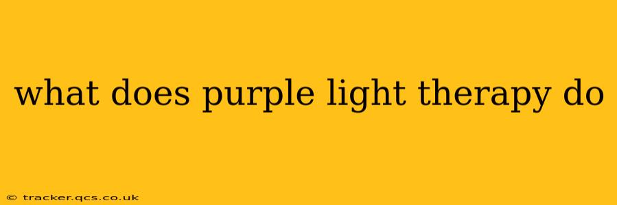 what does purple light therapy do