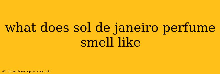 what does sol de janeiro perfume smell like