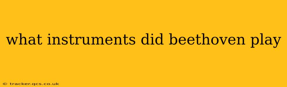what instruments did beethoven play