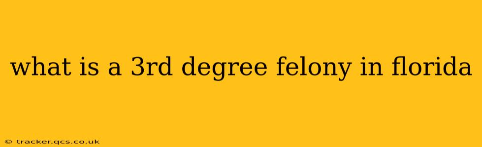 what is a 3rd degree felony in florida