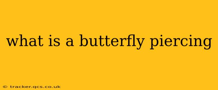 what is a butterfly piercing