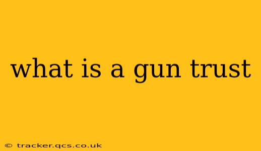 what is a gun trust