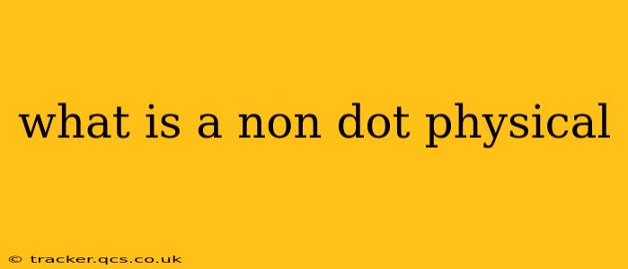 what is a non dot physical