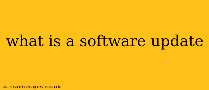 what is a software update