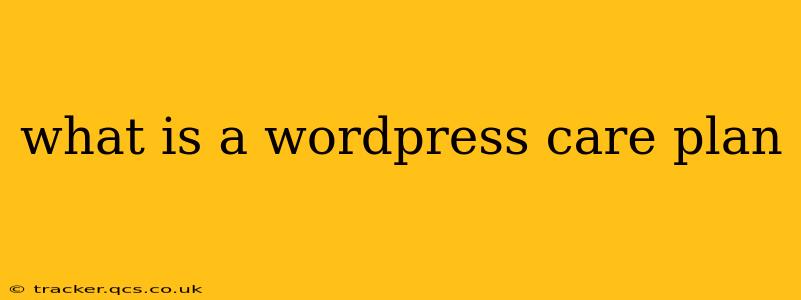 what is a wordpress care plan