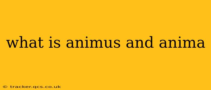 what is animus and anima