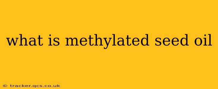 what is methylated seed oil