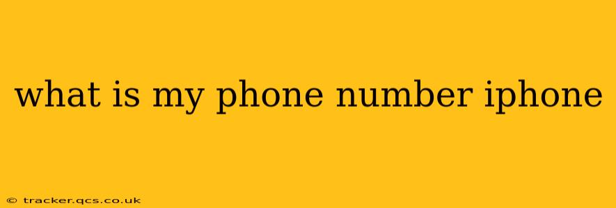 what is my phone number iphone