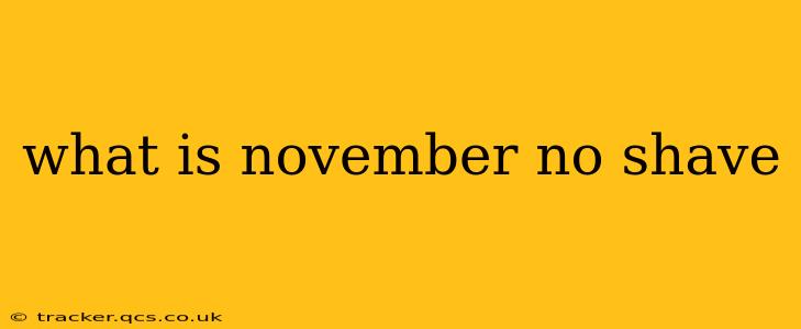 what is november no shave