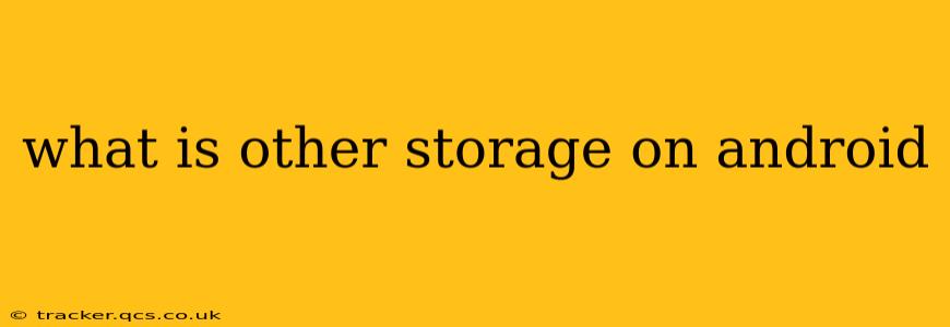 what is other storage on android