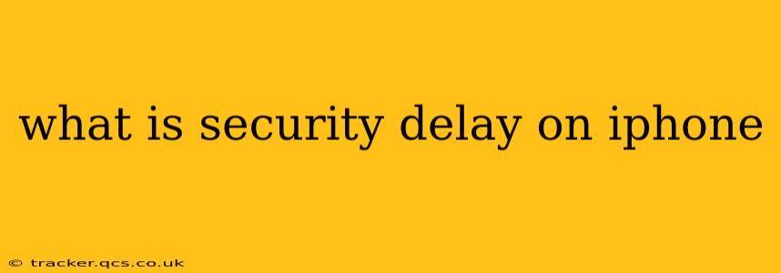 what is security delay on iphone