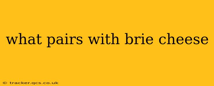 what pairs with brie cheese