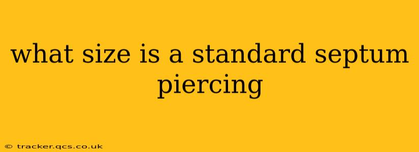 what size is a standard septum piercing