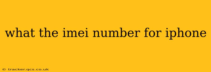 what the imei number for iphone