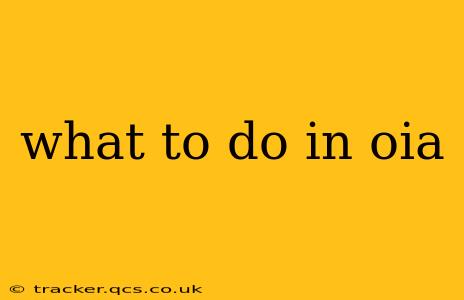 what to do in oia