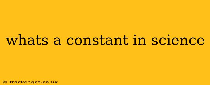 whats a constant in science