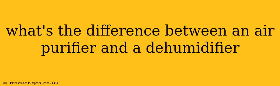 what's the difference between an air purifier and a dehumidifier