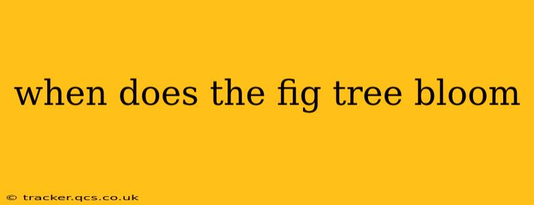 when does the fig tree bloom