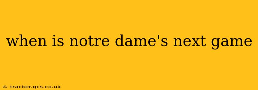 when is notre dame's next game
