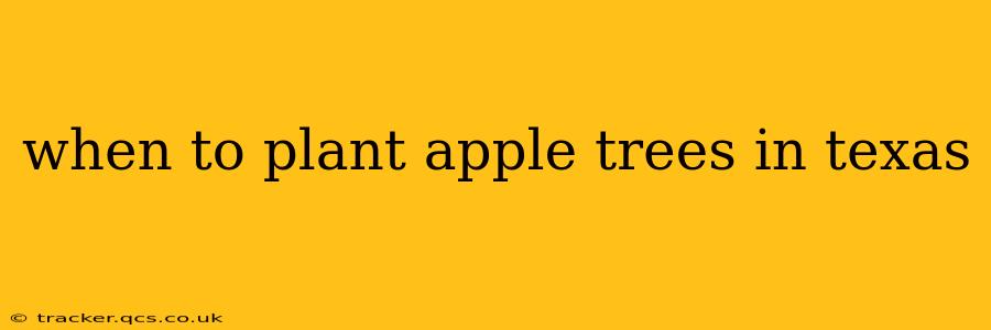 when to plant apple trees in texas