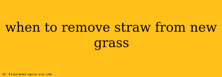when to remove straw from new grass