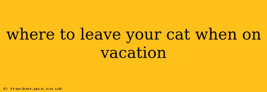 where to leave your cat when on vacation