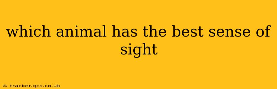 which animal has the best sense of sight