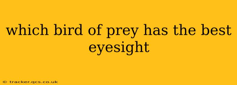 which bird of prey has the best eyesight