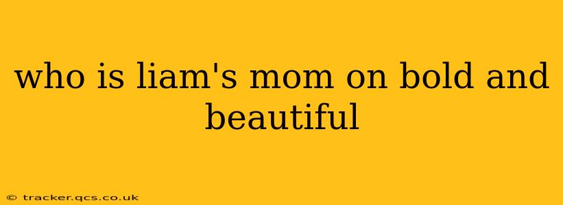 who is liam's mom on bold and beautiful