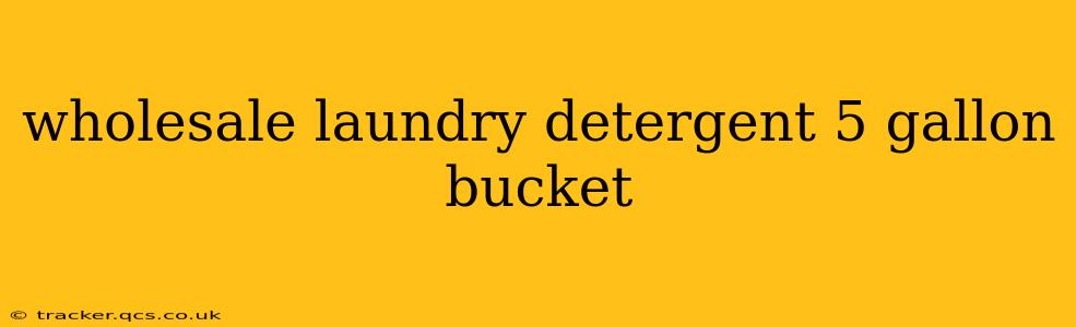 wholesale laundry detergent 5 gallon bucket