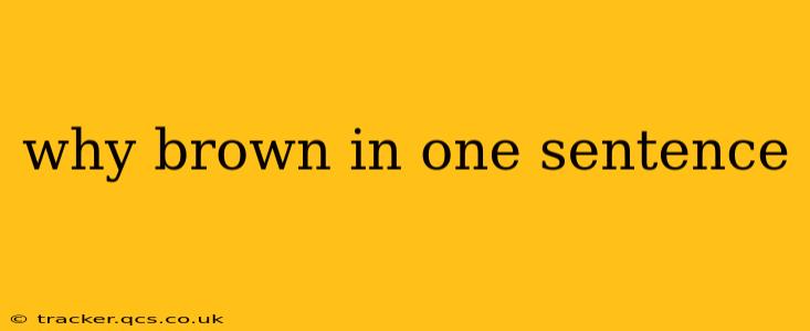 why brown in one sentence why brown in one sentence