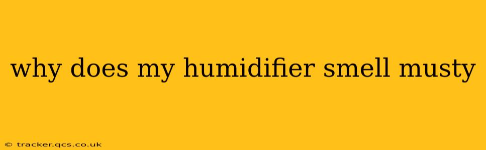 why does my humidifier smell musty